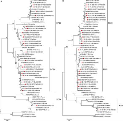 Prevalence and genetic diversity of porcine circovirus type 2 in northern Guangdong Province during 2016–2021